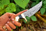 Skinner knive with  stag handle and damascus steel blade