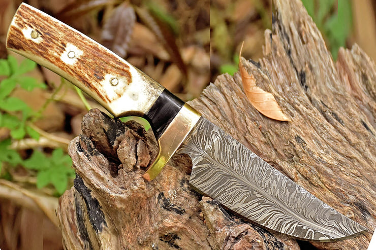 Skinner knive with  stag handle and damascus steel blade